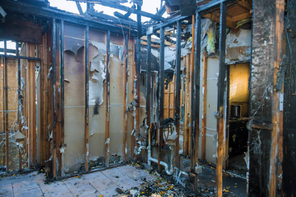 Professional Smoke Damage Removal technician working in Muncy, PA